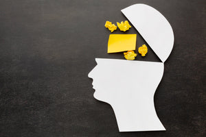 The Best Supplements for Brain Health, Improved Focus, and Memory